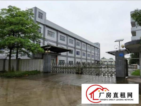  形象好位置好长安镇出租一楼1000平可做注塑等重工业可分