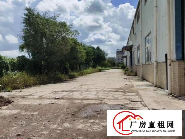  长安镇乌沙独院单一层出租，滴水8米，交通便利