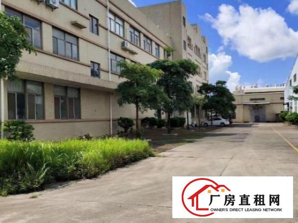  长安镇乌沙独院单一层出租，滴水8米，交通便利