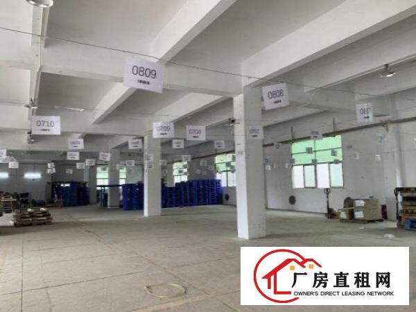  可分租超靓!!新出标准厂房独院900平