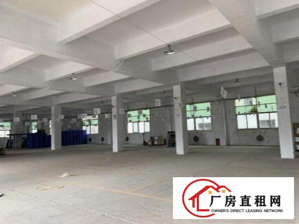  可分租超靓!!新出标准厂房独院900平