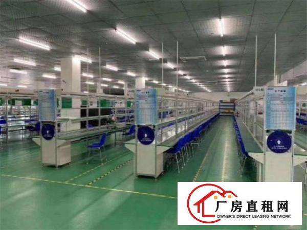  沙头社区新出厂房，可接受小污染，可做硅胶，玩具，电子，注塑等