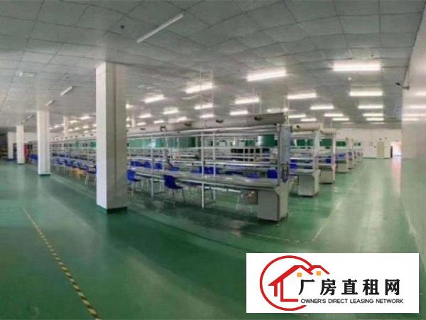  沙头社区新出厂房，可接受小污染，可做硅胶，玩具，电子，注塑等