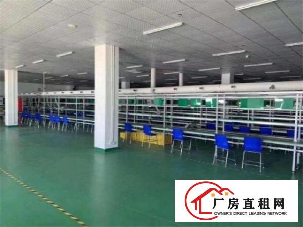  沙头社区新出厂房，可接受小污染，可做硅胶，玩具，电子，注塑等