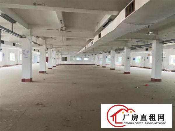  厦边标准一楼7.5米高，1150平月底空价格低