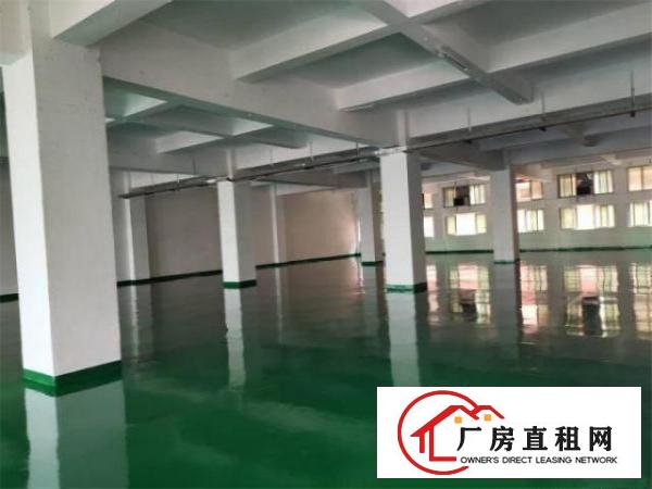  独院已空1000平方，现成办公室水电，独立变压器，环保地坪漆