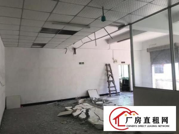 原房东新空出厂房无杂费出租