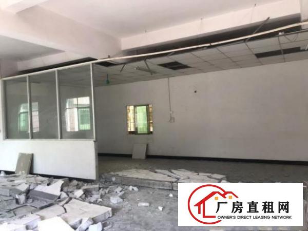  原房东新空出厂房无杂费出租