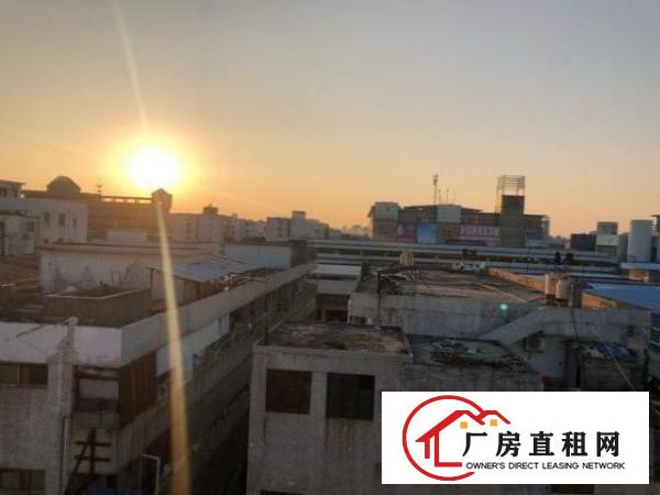  长安锦厦二层三层出租水电齐全