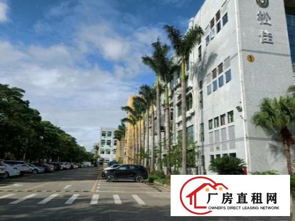  东莞长安镇大型工业园标准厂房，全新地坪漆