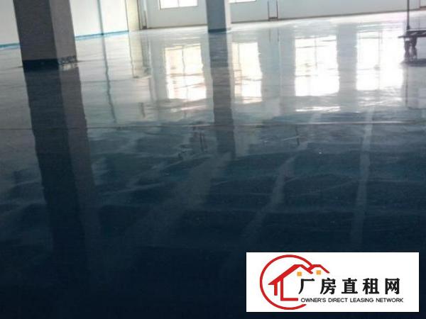  东莞长安镇大型工业园标准厂房，全新地坪漆