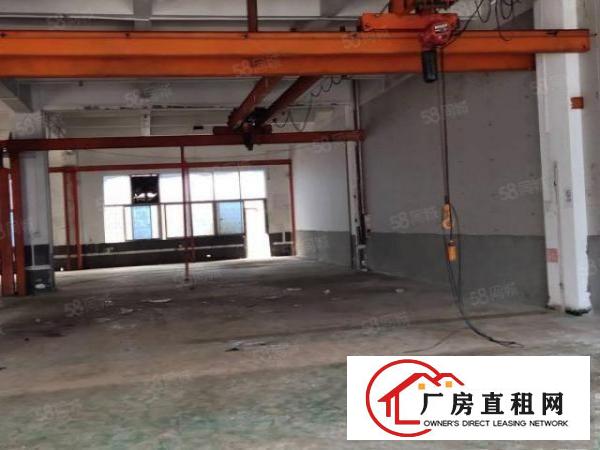  厂房出租长安锦厦新出一楼1000平米，水电齐全，精装修.