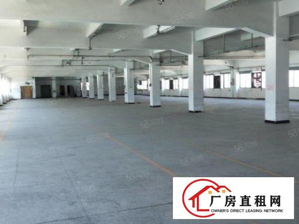  长安厂房出租街口新出独门独院8000平米，水电齐全精装修