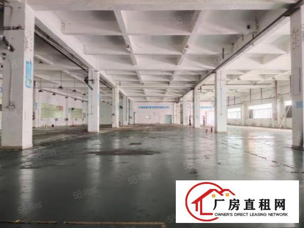  长安上角带注塑环评独门独院3层共15000平方，大小分租