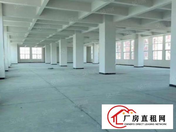  长安乌沙新出原房东独栋厂房4层，每层2000平方，电费便宜