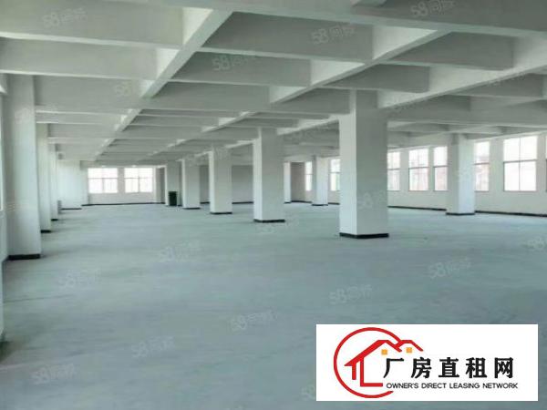  长安乌沙新出原房东独栋厂房4层，每层2000平方，电费便宜