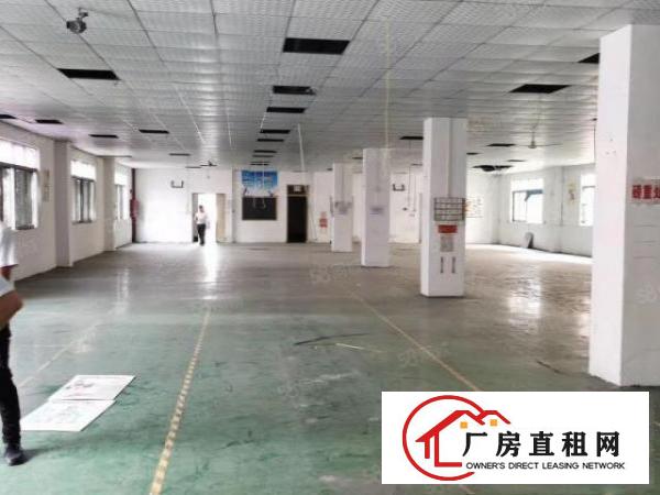  长安镇锦厦新村新出楼上500平方，带有水电齐全，豪华装修