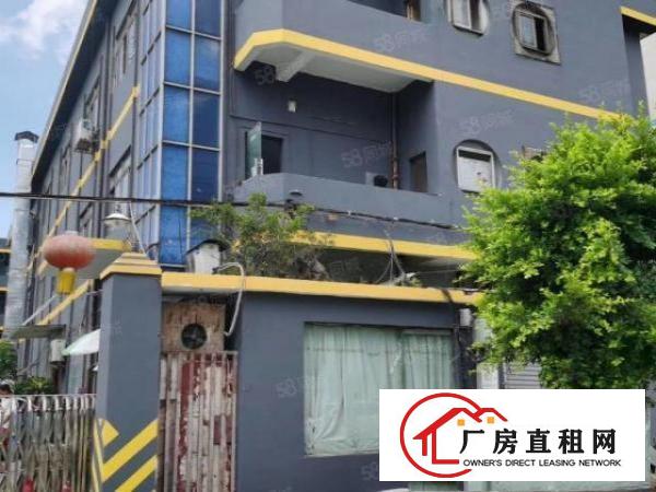  长安镇锦厦新村新出楼上500平方，带有水电齐全，豪华装修