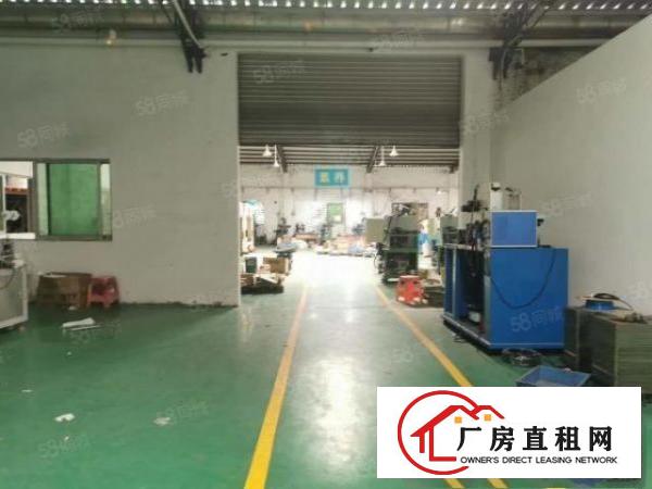  厂房出租新出独院厂房位于厦岗，钢构独院面积共2580平方米