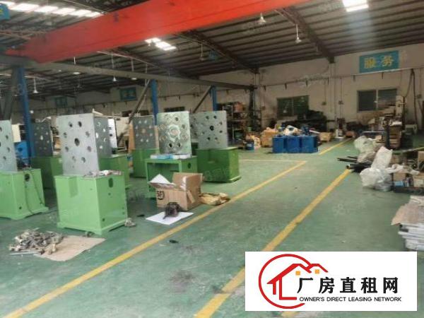  厂房出租新出独院厂房位于厦岗，钢构独院面积共2580平方米