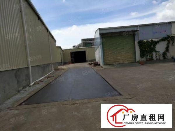  长安镇全新可做废品收购钢构厂房