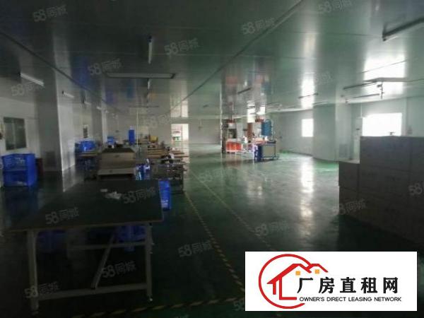  长安镇沙头新空出2500平方，精装修水电齐全可办环评厂房出租