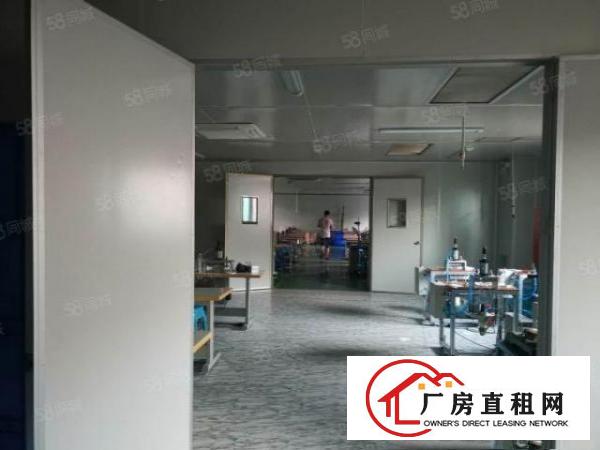  沙头原房东厂房招租，3楼1500平，现成装修，价格面议