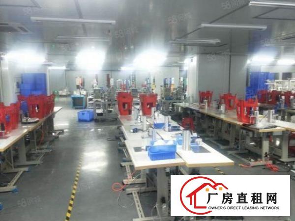  出租，2680平口罩厂，精装修四面环光，交通方便，停车充足