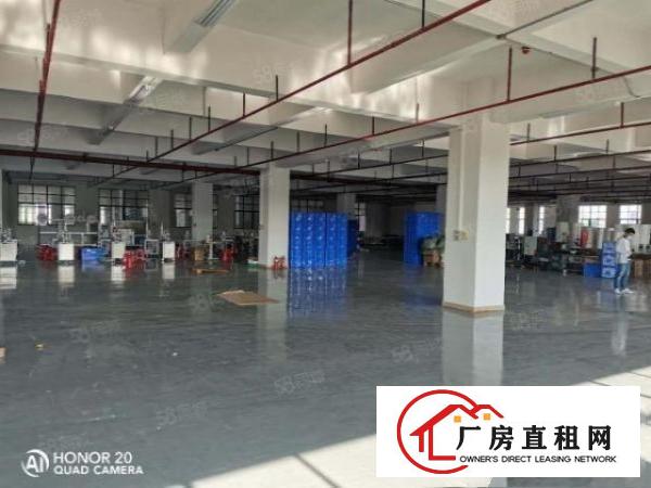  出租，2680平口罩厂，精装修四面环光，交通方便，停车充足