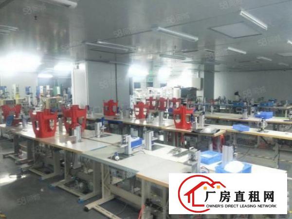  出租，2680平口罩厂，精装修四面环光，交通方便，停车充足