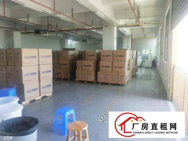  出租，2680平口罩厂，精装修四面环光，交通方便，停车充足