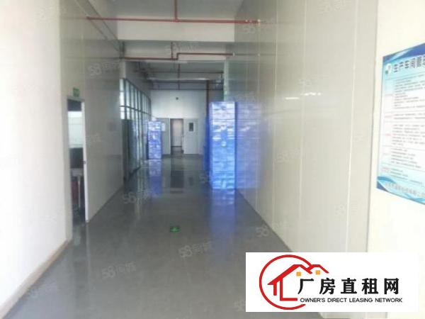  出租，2680平口罩厂，精装修四面环光，交通方便，停车充足