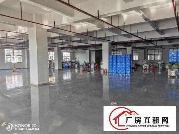  出租，2680平口罩厂，精装修四面环光，交通方便，停车充足