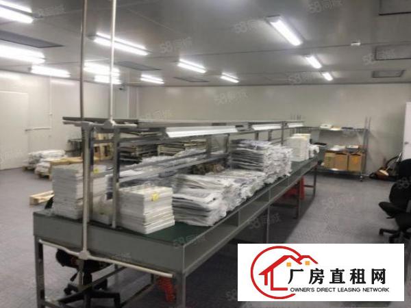  厦边银城一路新出楼上430平豪华装修厂房