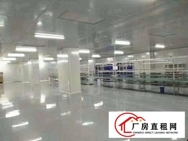  沙头社区刚空出楼上1000平方厂房出租带精装修水电齐全