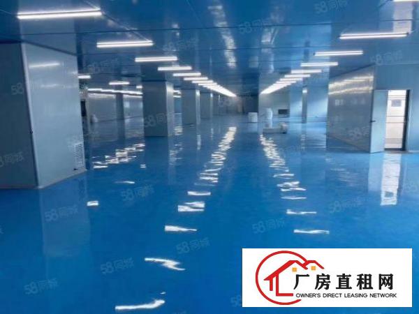  长安镇锦厦新空无尘车间5200平，今年装修，不要转让费