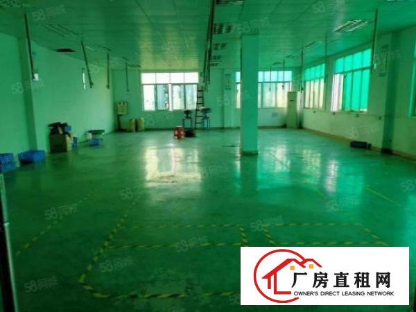 宵边新空出标准厂房带装修