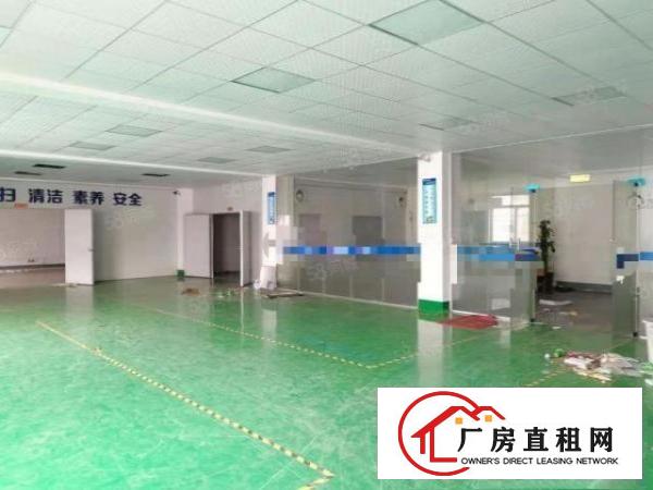 长安大润发附近新出楼上精装修厂房600平
