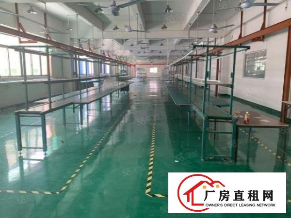  长安沙头振安路旁新空出楼上精装修厂房2850平方。