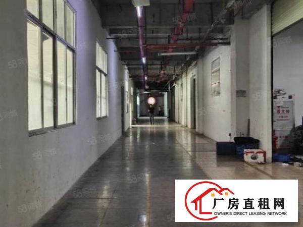  长安新出楼上950平方带消防喷淋厂房（可分租）