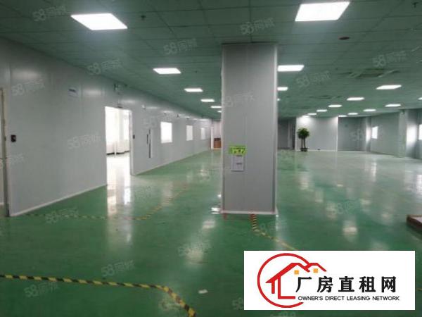  长安上沙重工业厂房新出楼上一整层2000平方，豪华办公室装修