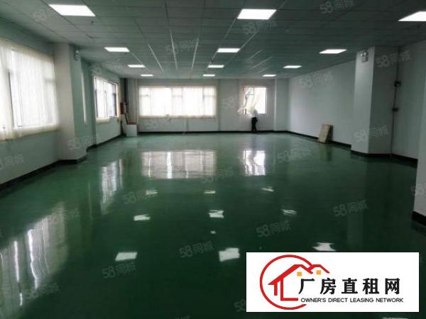  长安上沙重工业厂房新出楼上一整层2000平方，豪华办公室装修