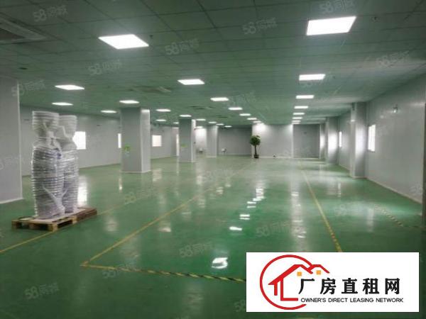  长安上沙重工业厂房新出楼上一整层2000平方，豪华办公室装修