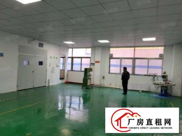  厦岗空出楼上带装修200平水电齐全厂房出租