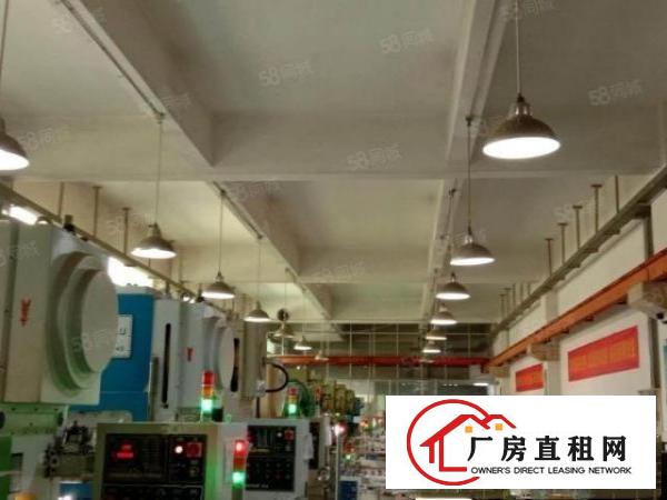  长安沙头原房东1000平厂房出租可分租可做小污染行业