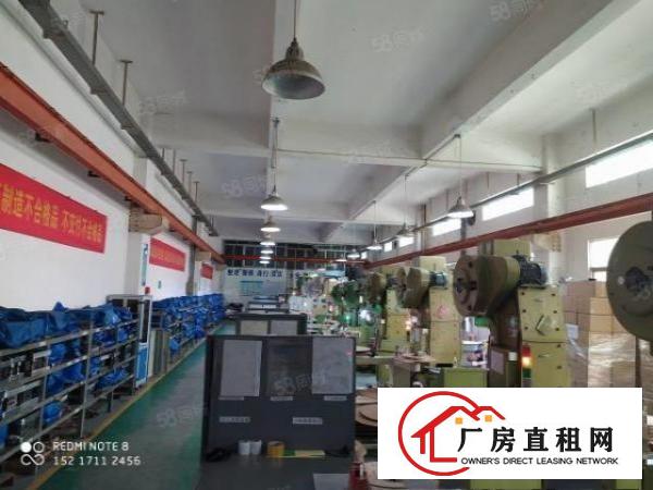  长安沙头原房东1000平厂房出租可分租可做小污染行业