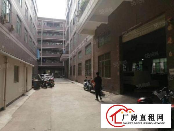  特优厂房招租长安乌沙新出三楼1200平方，装修齐全，拎包生产