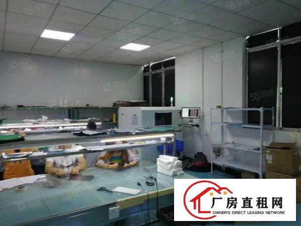  特优厂房招租长安乌沙新出三楼1200平方，装修齐全，拎包生产