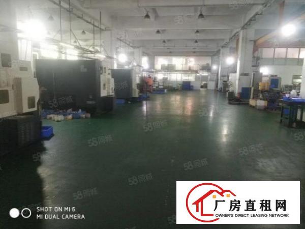  长安厦岗新出一楼1200平方，注塑，五金仓库物流