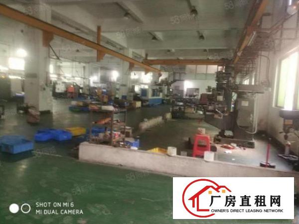  长安厦岗新出一楼1200平方，注塑，五金仓库物流